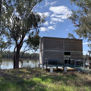 Gum Swamp - Spoonbill Hide