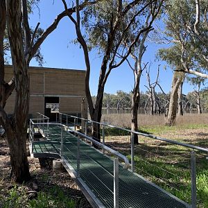 Gum Swamp - Avocet & Stilt Hide