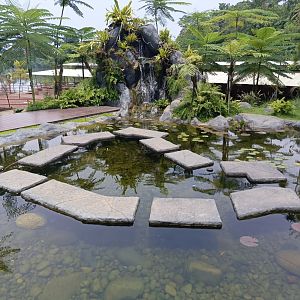 Jasmine Park - Natural Pond