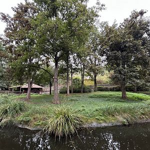 Mexican Spider Monkey Exhibit