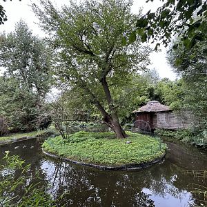 Squirrel Monkey Exhibit