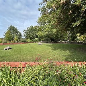 Large Tortoise Exhibit