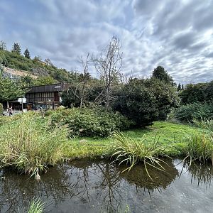 Black-and-White Ruffed Lemur Exhibit