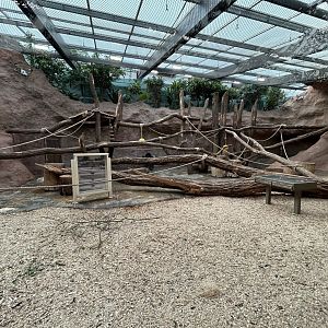 Indoor Gorilla Exhibit - Mefou Center