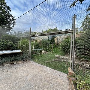 Fishing Cat Exhibit - Feline\Reptile House