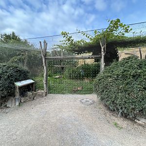 Geoffrey’s Cat Exhibit - Feline\Reptile House