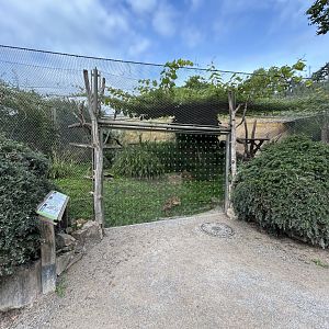 Fossa Exhibit - Feline\Reptile House