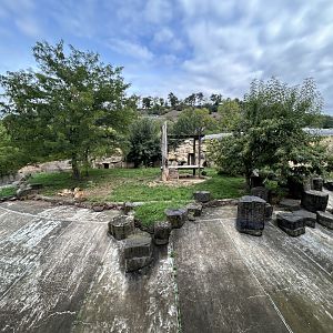 Lion Exhibit - Feline\Reptile House
