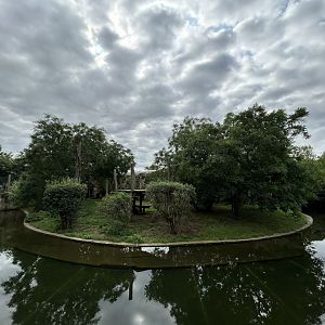Tiger Exhibit - Feline\Reptile House