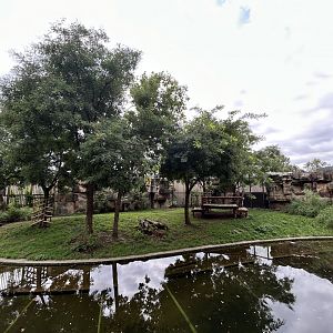 Tiger Exhibit - Feline\Reptile House