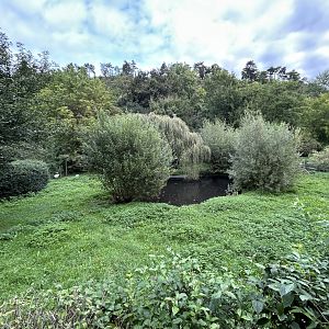 Red-crowned Crane Exhibit