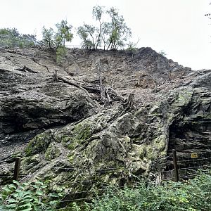 Barbary Sheep & Barbary Macaque Exhibit