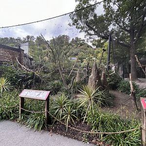 Australian Aviary - Darwin Crater