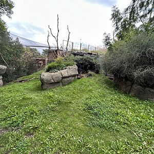 Wombat Exhibit - Darwin Crater