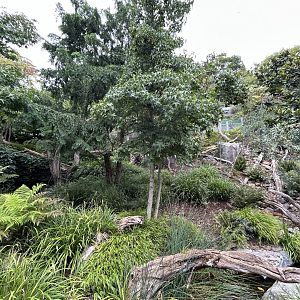 Tasmanian Devil Exhibit - Darwin Crater