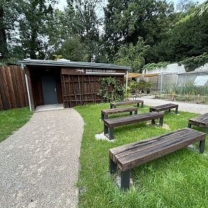 Lord Howe Island Stick Insect Breeding Center