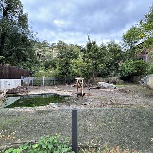 Giant Anteater & Capybara Exhibit