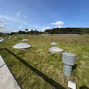 Gorilla House Green Roof - Dja Reserve