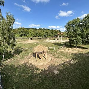 African Savanna (7 Species)
