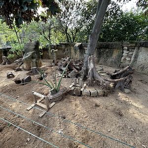 Meerkat Exhibit