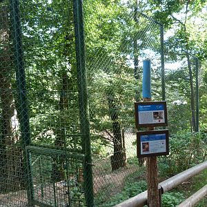 Amur tiger exhibit -Zoo Plzeň (2025)