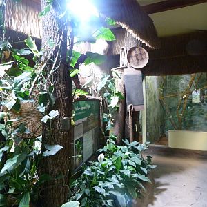 South American house view -Zoo Plzeň (2025)