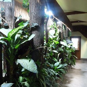 South American house view -Zoo Plzeň (2025)