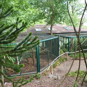Upper view of the South American house -Zoo Plzeň (2025)
