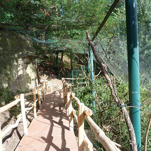 Walkthrough aviary at "Amazonie" -Zoo Plzeň (2025)