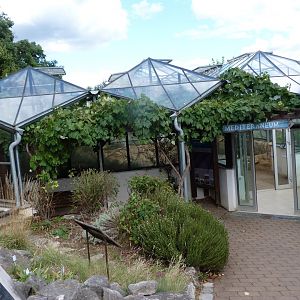 "Mediterraneum" pavillion -Zoo Plzeň (2025)
