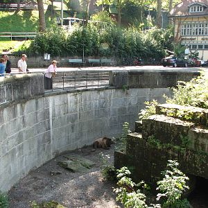 Bern Bear Pits 2006 - View of half of the larger pit