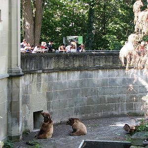 Bern Bear Pits 2006 - The larger pit