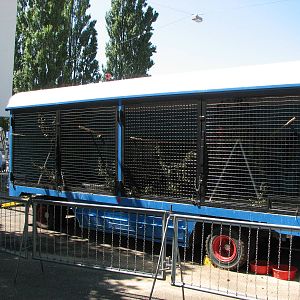 Circus Knie in Neuchatel 2008 - Red Macaw wagon