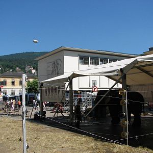 Circus Knie in Neuchatel 2008 - Elephant Tent