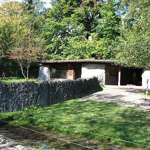 Tierpark Dählhölzli 2006 - Alpaca enclosure