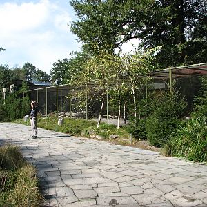 Tierpark Dählhölzli 2006 - Aviaries outside the Tierpark