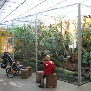 Tierpark Dählhölzli 2006 - Inside the Vivarium