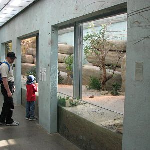 Tierpark Dählhölzli 2006 - Inside the Vivarium
