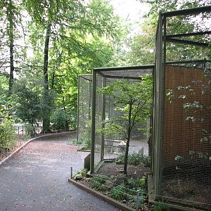 Tierpark Dählhölzli 2006 - Aviaries inside the Tierpark