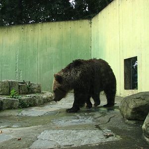 Tierpark Dählhölzli 2006 - Off-exhibit Brown Bear facility