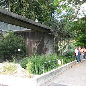 Tierpark Dählhölzli 2006 - European Wild Cat exhibit