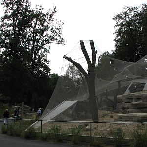 Tierpark Dählhölzli 2006 - Corner of the new Persian Leopard exhibit