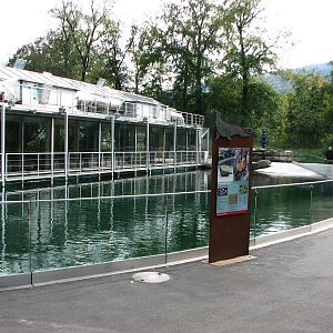 Tierpark Dählhölzli 2006 - Common Seal pool