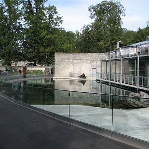 Tierpark Dählhölzli 2006 - Other Common Seal pool