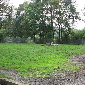 Tierpark Dählhölzli 2006 - Moose enclosure