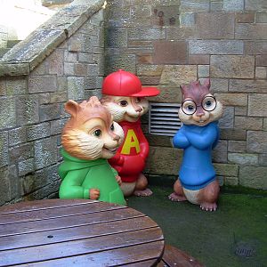 Which enclosure for these guys?