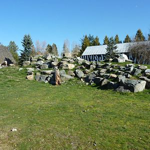 Bighorn Sheep Enclosure