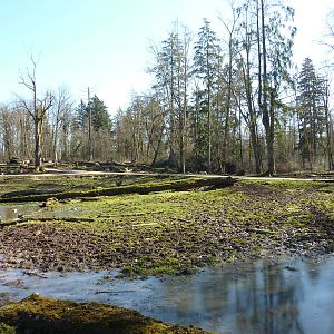 15-Acre Roosevelt Elk/Bison Enclosure