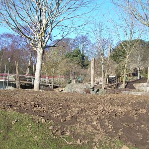 Working for the Sun Bears