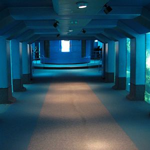The Seas at EPCOT - Observation Deck Tunnel